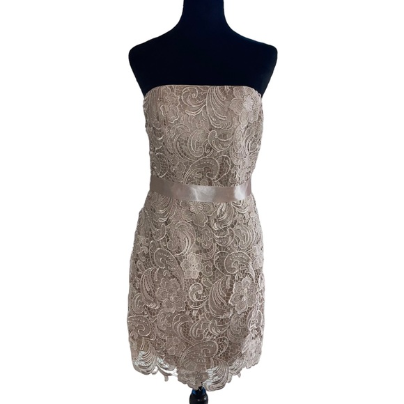 Adrianna Papell Dresses & Skirts - Adrianna Papell Boutique Women’s Sheath Dress Champagne Lace Over Lay Size 8